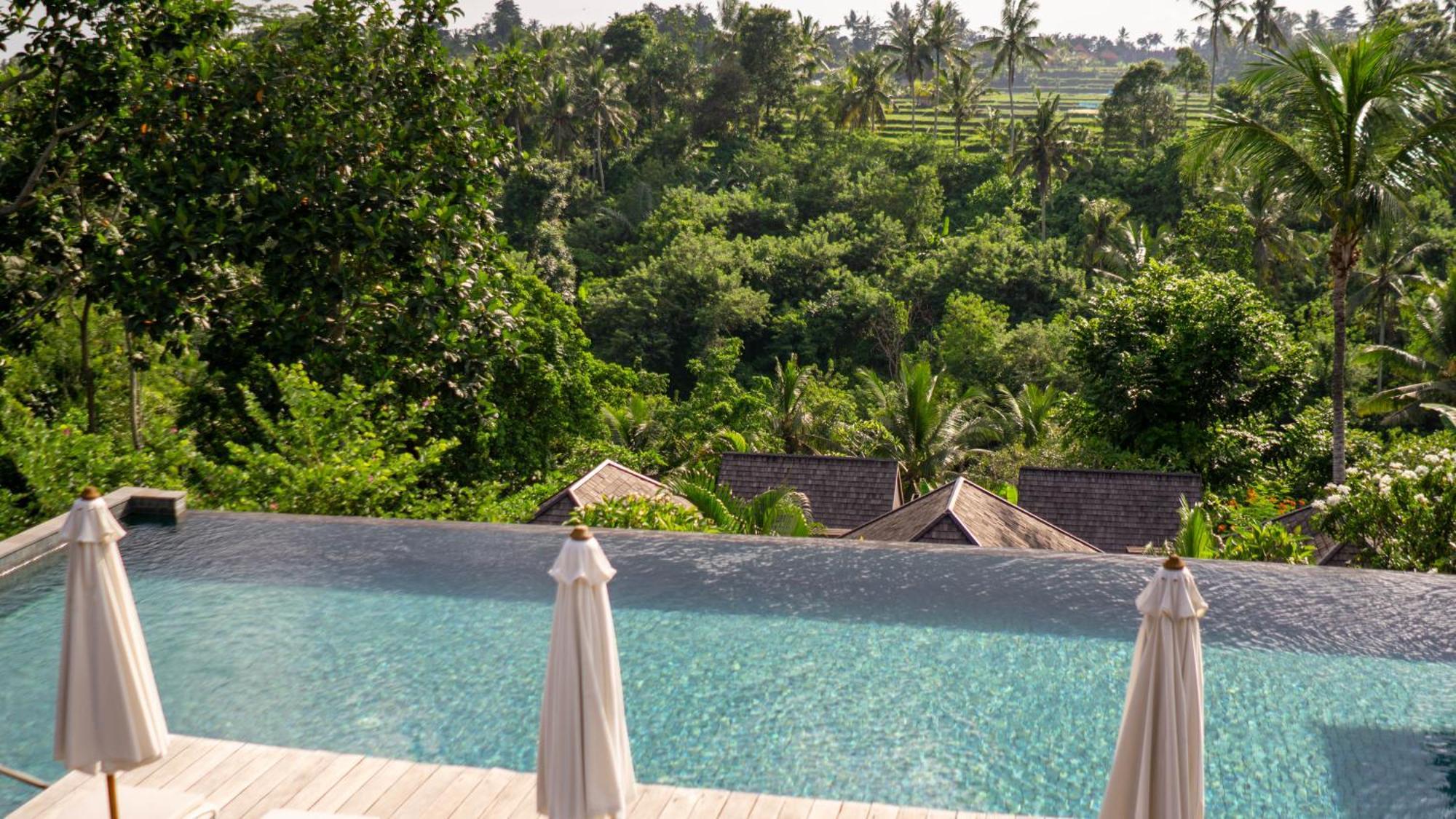 เตจาปรานา บิสมา - ผ่านการรับรอง Chse Hotel อูบุด ภายนอก รูปภาพ View from the pool